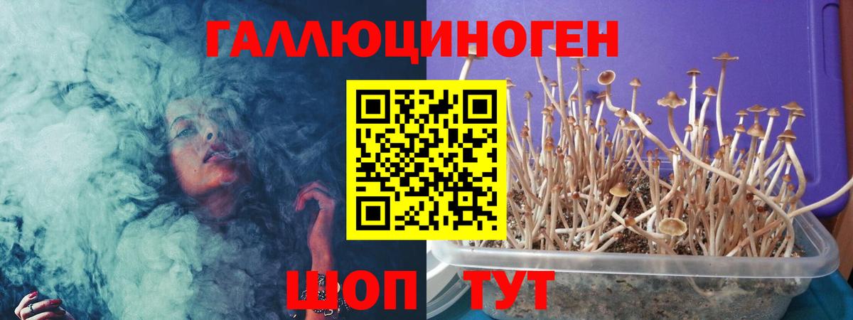 Псилоцибиновые грибы Magic Shrooms Красноярск